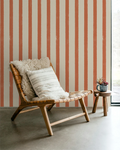 Brush Stripe: Clay Terracotta