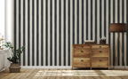 Brush Stripe: Charcoal