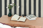 Brush Stripe: Charcoal
