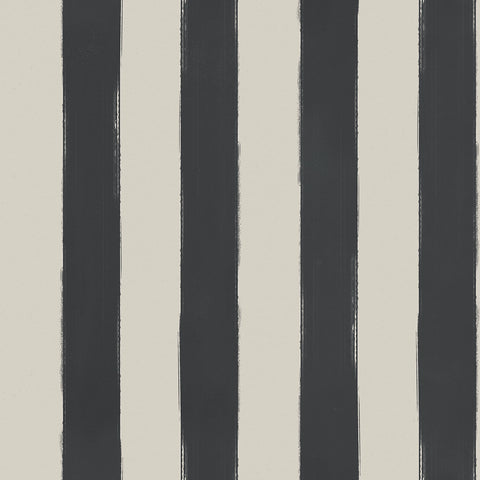 Brush Stripe: Charcoal