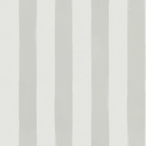 Brush Stripe: Sage Mist