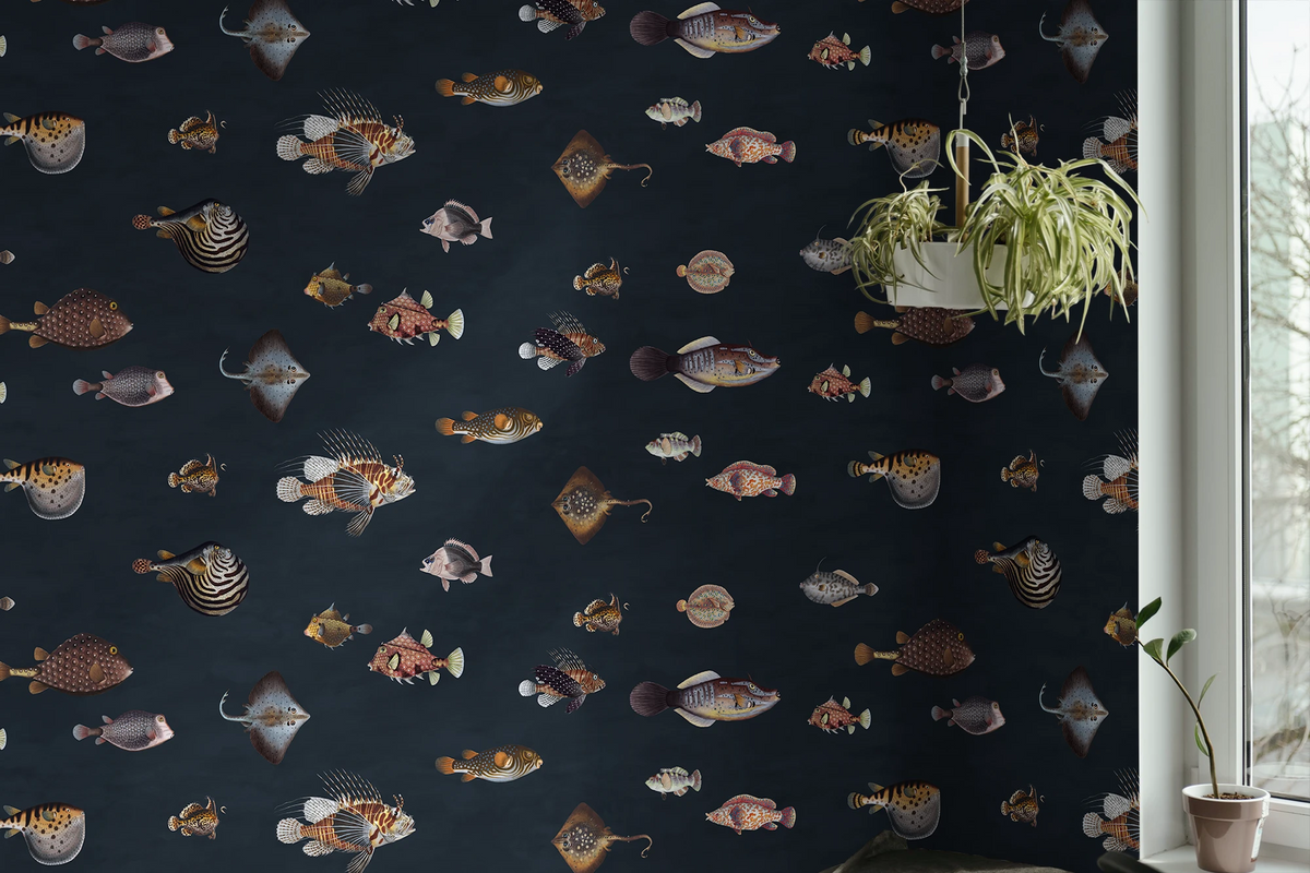 Dark navy wallpaper with a pattern of vintage fish illustrations drawn by Marcus Elieser Bloch, shown in a room setting with a hanging plant and a potted plant near a window.