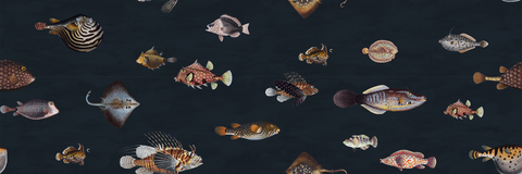A repeating pattern of various illustrated sea fish and marine animals on a dark navy background, including rays, pufferfish, tangs, and striped fish.