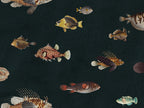 Life Aquatic: Navy