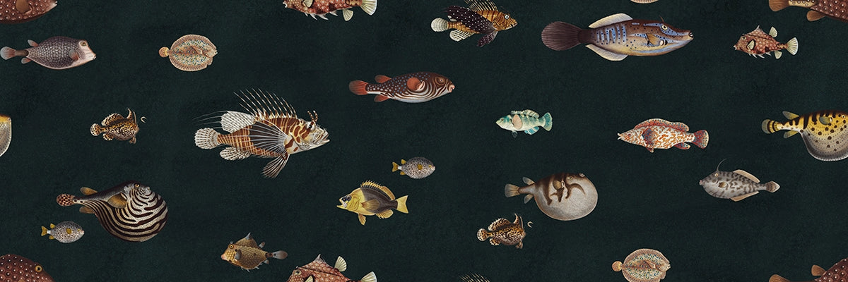 Life Aquatic: Navy