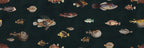 Life Aquatic: Navy