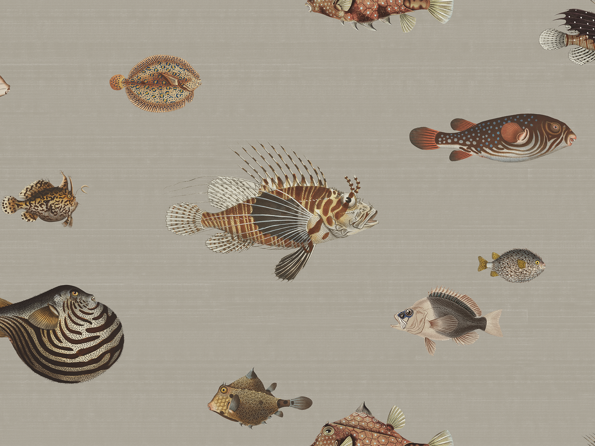 Awallpaper with a greige background featuring a pattern of vintage marine life illustrations. 