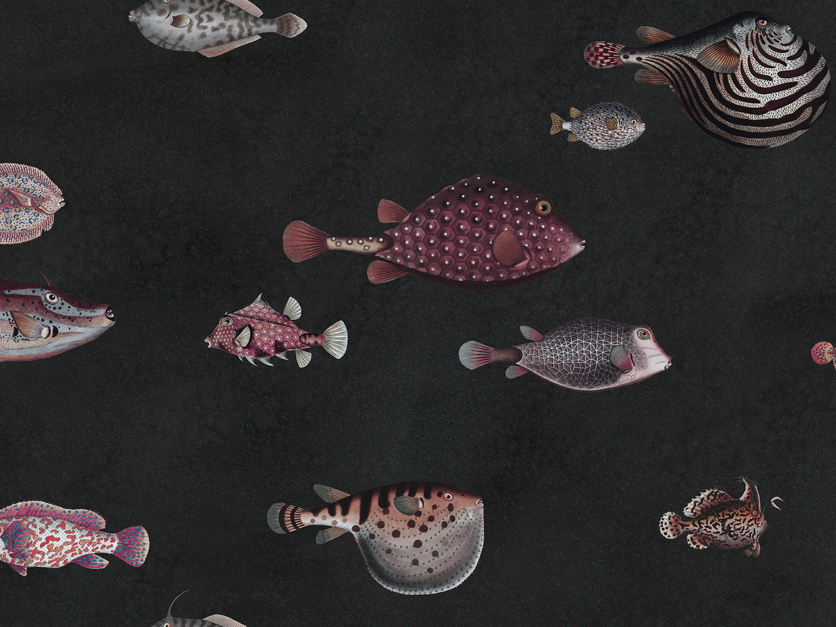 Life Aquatic: Charcoal