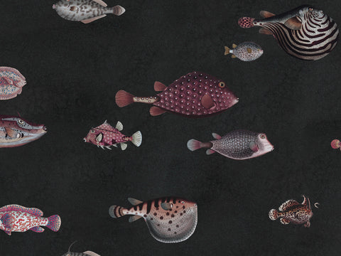 Life Aquatic: Charcoal