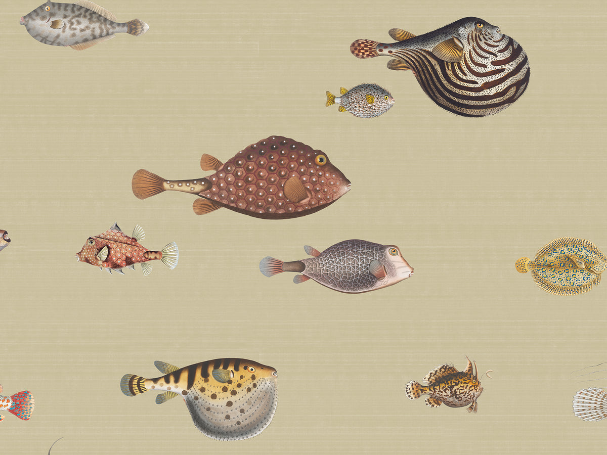 Life Aquatic: Butter