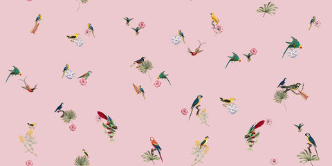 Painted Aviary: Blush