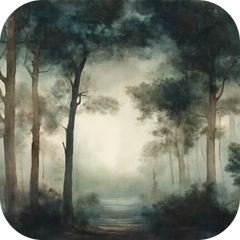 Forests