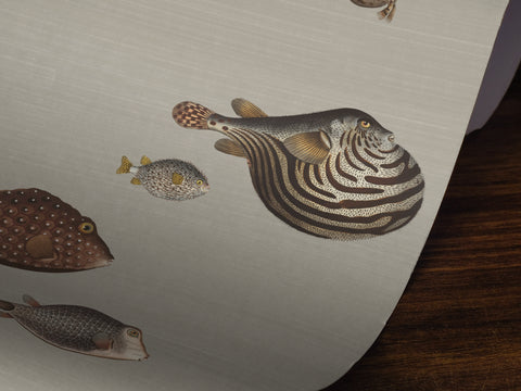 A close-up of a textured light gray surface featuring detailed illustrations of various pufferfish in muted brown, gray, and gold tones, with a dark wood surface visible in the lower right corner.
