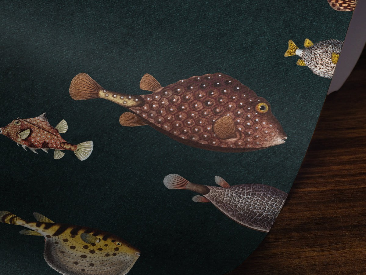 Life Aquatic: Navy