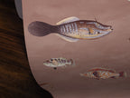 Coral colored wallpaper with a pattern of vintage fish illustrations drawn by Marcus Elieser Bloch. 