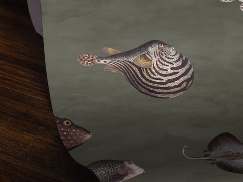 Life Aquatic: Smoky Olive
