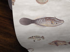 Wallpaper with a vintage fish illustration painted by Bloch, on an ivory background.