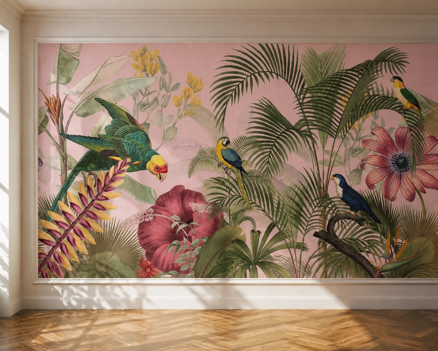 Birds of Paradise